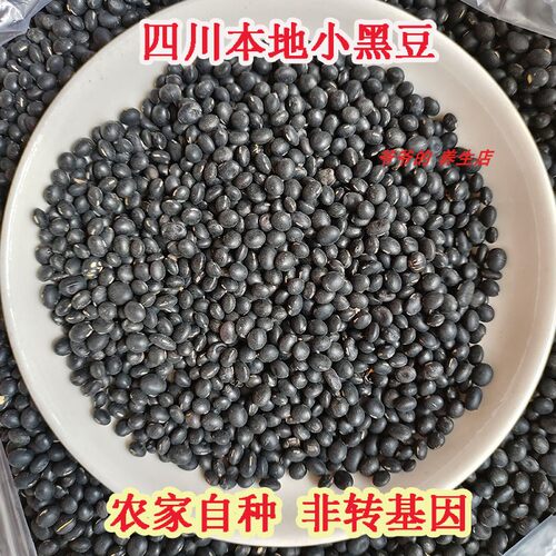 正宗绿芯小黑豆非转基因四川泸州农家自种打豆浆专用2025黄心黑豆