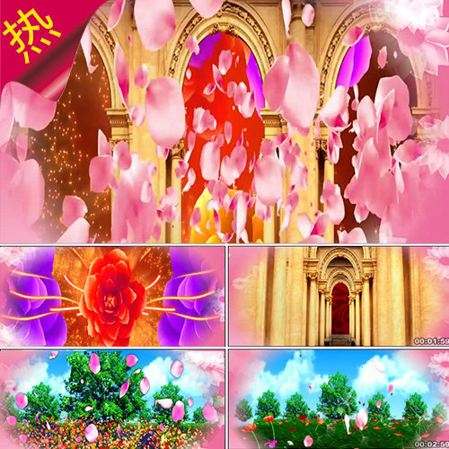 女人花 舞蹈歌唱MV 唯美花瓣花朵 民族风 婚礼晚会 视频素材