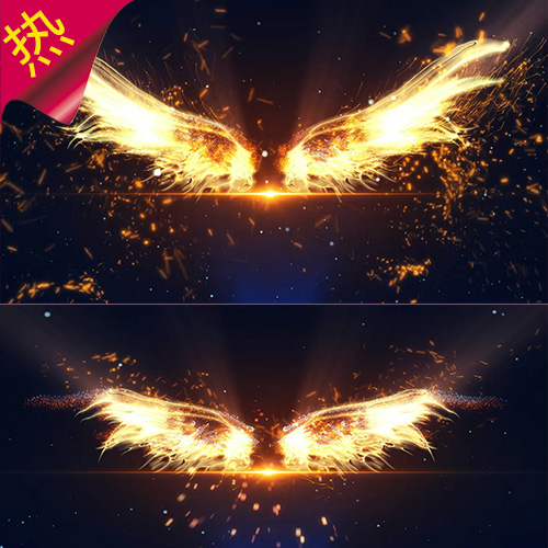 金色翅膀 年会励志翅膀 企业文化精神 正能量 展翅高飞 视频素材