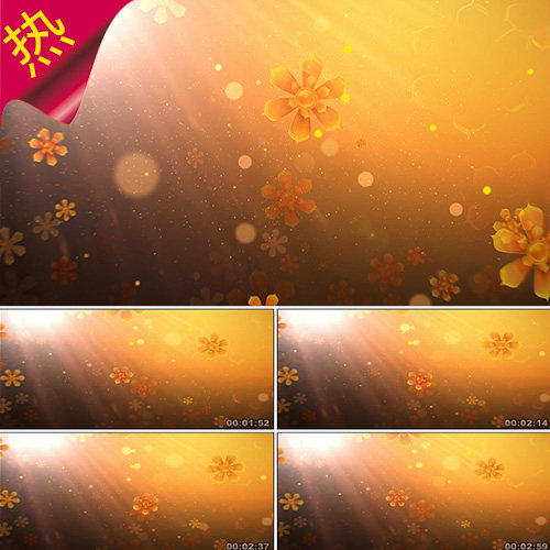 秋日私语 钢琴曲 浪漫温馨阳光花朵光斑 秋天婚礼粒子 视频素材