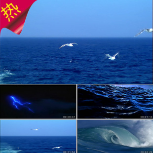 海燕 诗歌朗诵 高尔基 闪电大海 海鸥海浪 晚会演出 视频素材