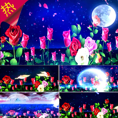 花好月圆 配乐成品 玫瑰花 月亮 花瓣 情人节 婚礼爱情 视频素材