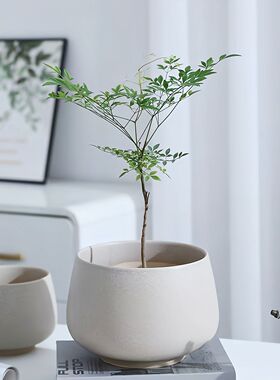 凹口大碗陶瓷花盆 灰色盆 口径13/17/21cm 高11/13/15cm大中小号