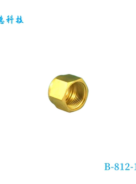 【B-812-1】Swagelok世伟洛克黄铜 用于1/2 in卡套管接头的 螺母