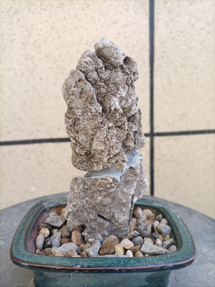 附石开槽附树石英德石青龙石头盆景