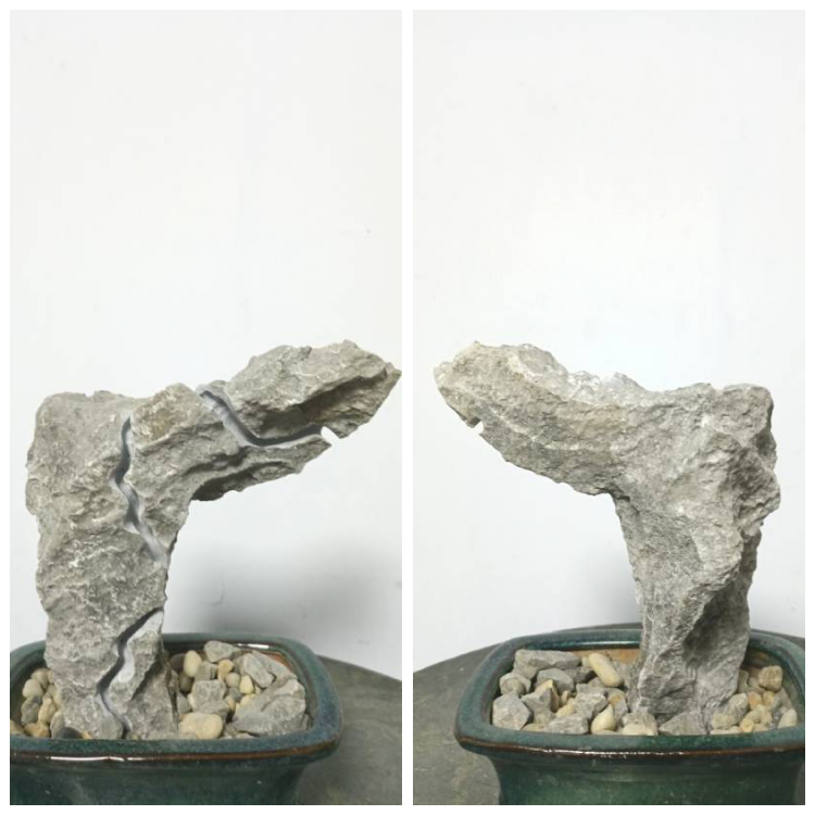 附石开槽附树石英德石青龙石头盆景u.