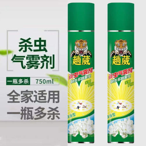 750ml杀虫气雾剂灭蚊子苍蝇蟑螂