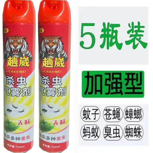 750ml杀虫气雾剂灭蚊子苍蝇蟑螂