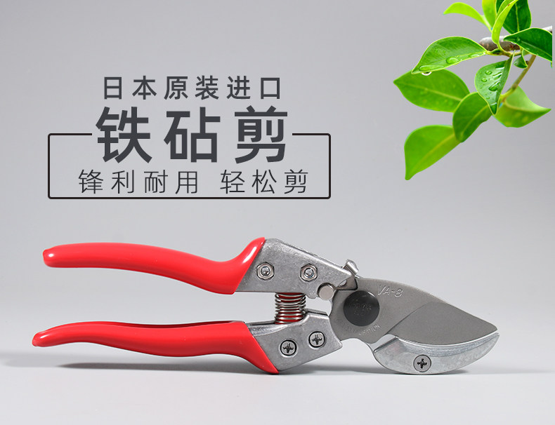 日本进口爱丽斯砧铁剪 ARS VA-8Z 园林园艺苹果桃树葡萄修枝剪刀