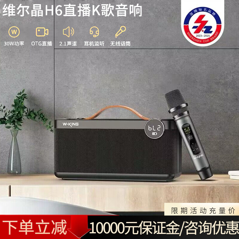维尔晶 H6手提便携式迷你K歌音响直播蓝牙音箱家用KTV送闺蜜礼品,影音电器,无线/蓝牙音箱,淘宝优惠券,粉丝福利购,淘宝优惠卷