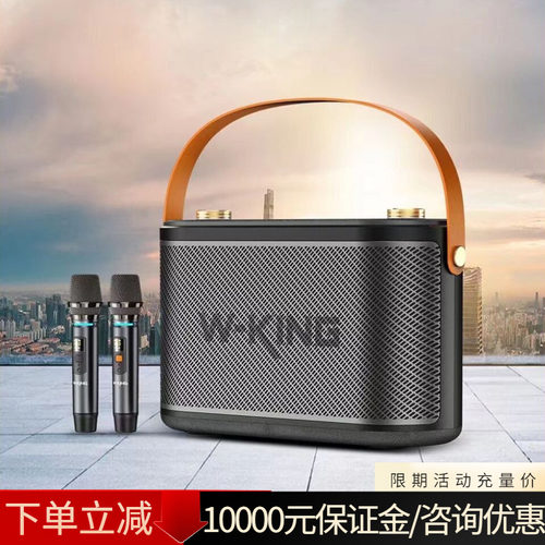 维尔晶H10ll户外直播K歌乐器音箱