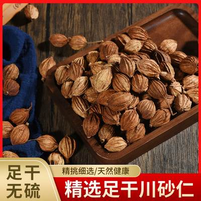 香砂仁 沙仁 川砂仁阳春砂仁香料大全 春沙仁 川沙仁烧菜卤料