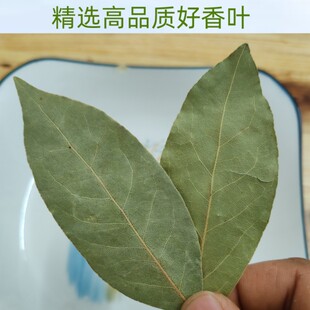 广西香叶天然月桂叶精选香叶500g调料可磨粉料另售油桂肉桂八角
