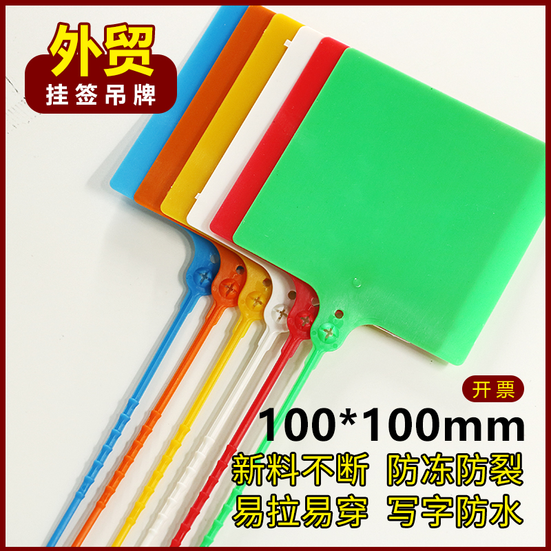100*100外贸塑料挂签一体式封条