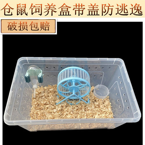 掌上名蛛饲养盒仓鼠饲养盒