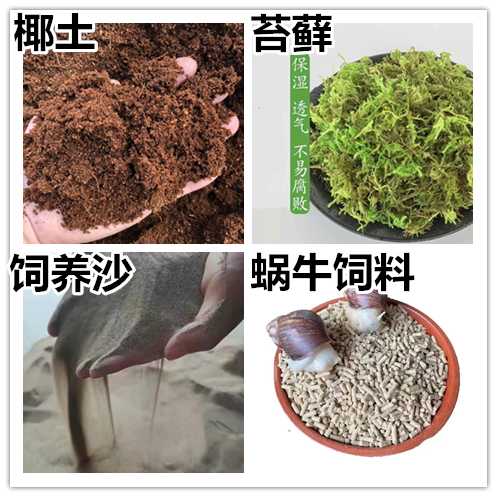 爬宠宠物垫材蜗牛营养土椰土苔藓饲料补钙粉骨粉葡萄糖粉饲养土沙 宠物/宠物食品及用品 螺 原图主图