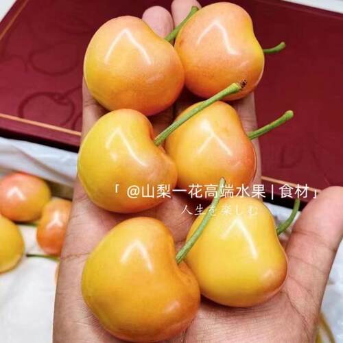现货车厘子2斤3J4J5J特大果黄樱桃大金车礼盒装新鲜同城水果顺丰