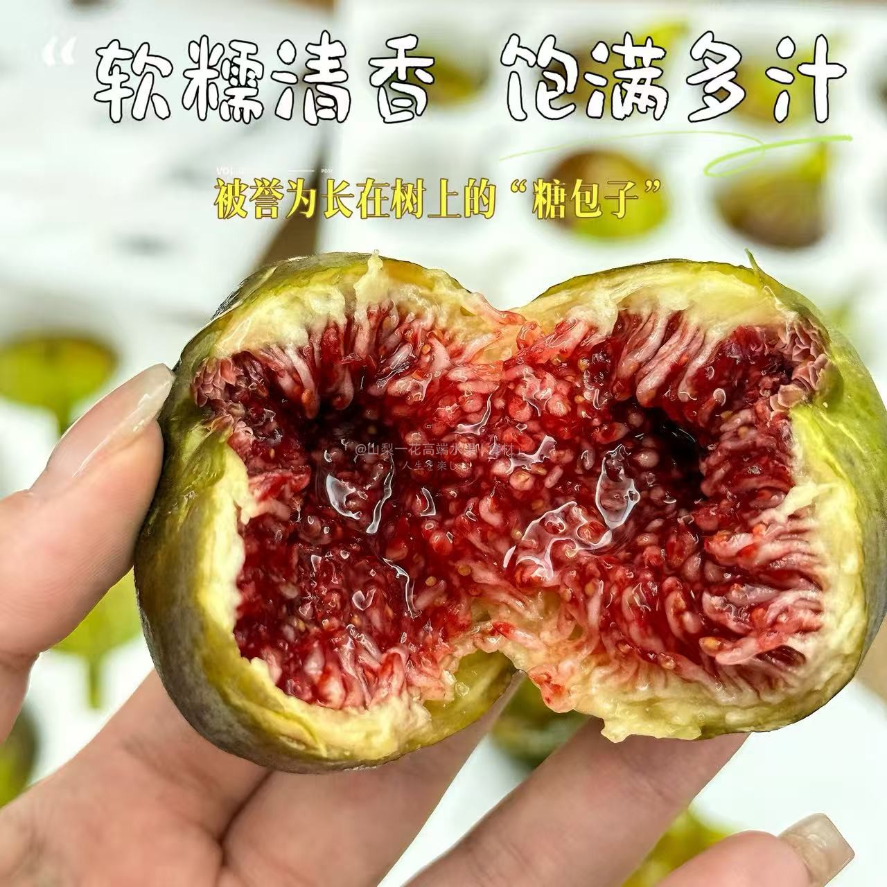 云南高山无花果新鲜应季大果密甜图片