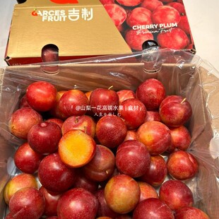 现货智利樱桃李新鲜时令孕妇水果进口李子5斤原箱礼盒装顺丰包邮