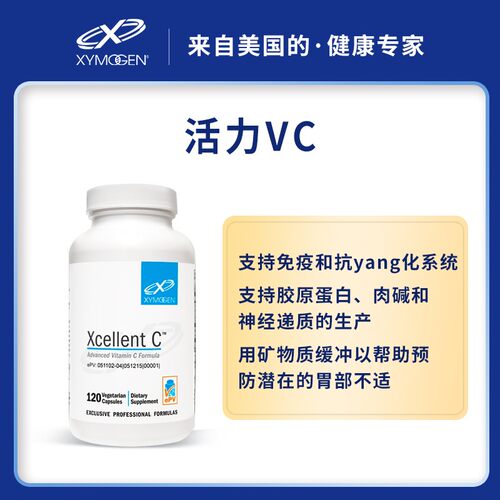 赛默金XcellentC活力