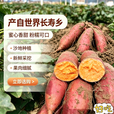 梅州蕉岭新鲜红薯高山红薯正宗黄沙番薯番薯红薯紫薯西瓜红薯地瓜