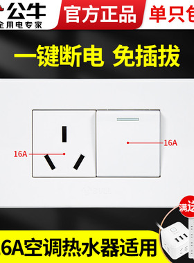 公牛118型二位插座带开关面板1单开一开单控16A三孔空调专用16安