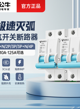 公牛2P空气开关c63a家用塑壳1p电闸1p加n空开32a小型断路器开关