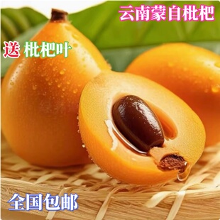 云南蒙自枇杷新鲜当季孕妇水果长虹甜琵琶1-5斤现摘汁多整箱包邮