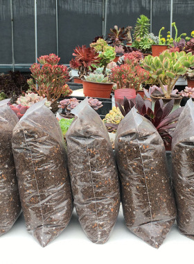 大包营养土包邮种山地玫瑰法师多肉种菜土进口泥炭多元素疏松透气