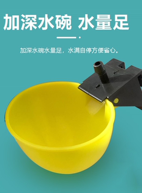 加大自动饮水器新款鸽子用品喂水碗鹌鹑鸡用水杯6/8/9.5毫米水碗
