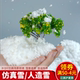 沙盘建筑模型场景制作diy手工材料微缩景观人造仿真雪粉 圣诞雪景