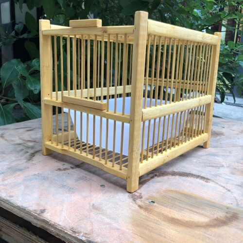 小小鸟洗澡笼黄豆芙蓉鸟小型竹制