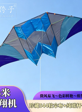 潍坊王侉子风筝 4米珍藏版544软伞布滑翔机  易飞 质量好