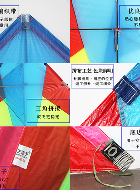王侉子风筝定制p31风筝 定制颜色 大人专用网红高档大型微风易飞
