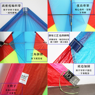 王侉子风筝定制p31风筝 定制颜色 大人专用网红高档大型微风易飞