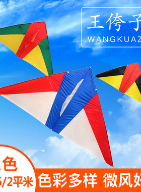 王侉子潍坊风筝大人专用网红高档大型微风易飞2023年新款儿童风筝