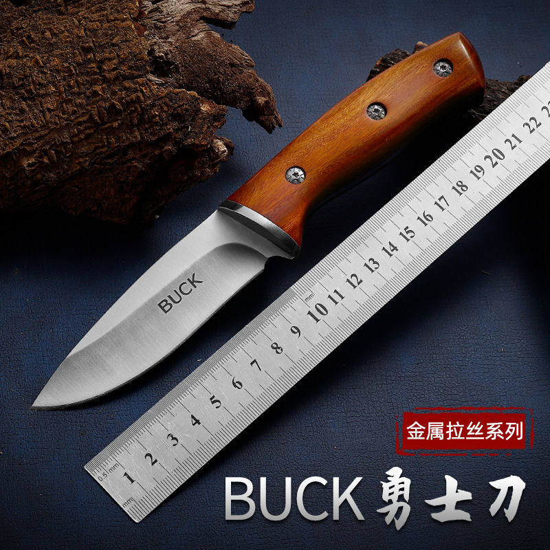 水果刀家用吃手把肉刀多功能户外野营烧烤切肉刀Buck小刀