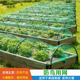 防鸟网蔬菜地拦小鸟 网鱼塘天网葡萄果园大棚菜园用尼龙防鸟围网