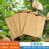 水果套袋专用袋防虫保护袋芒果梨桃子枇杷果树防鸟果袋套水果纸袋
