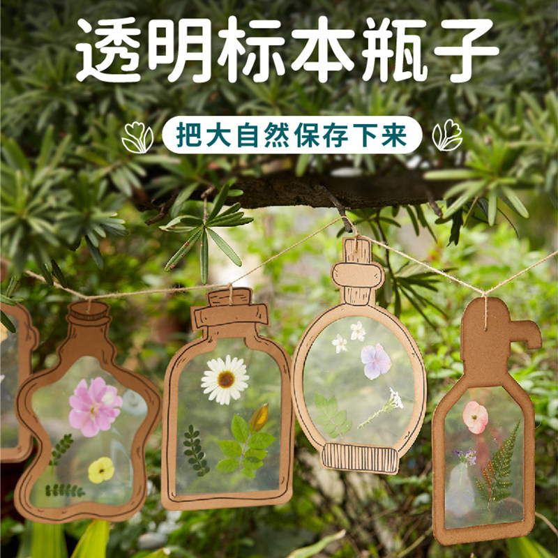 幼儿园森系牛皮透明标本植物区角域空中吊饰挂饰春天干花装饰材料