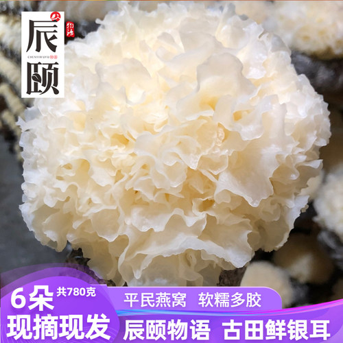 辰颐物语古田鲜银耳白木耳正品