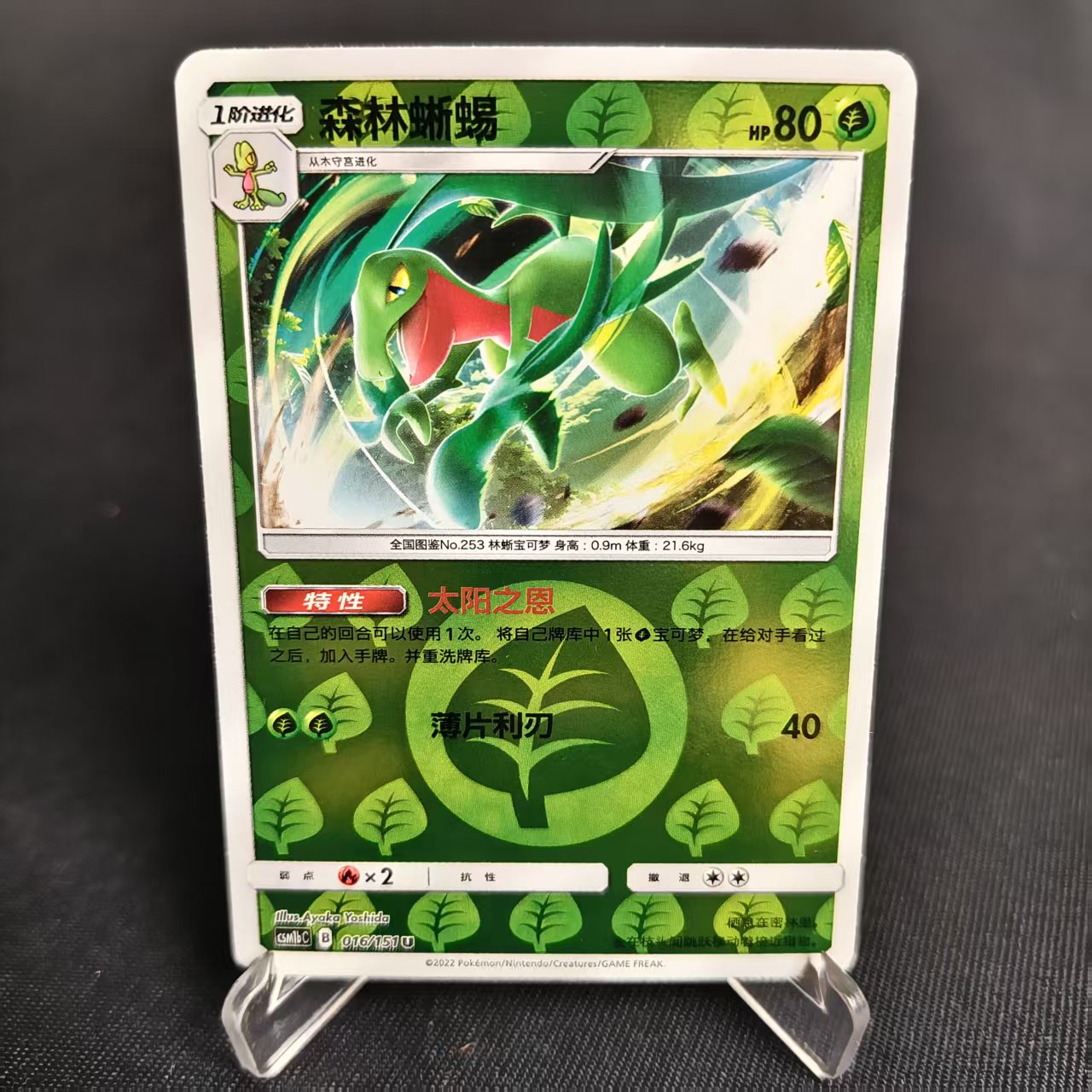 【北境卡牌】PTCG正版宝可梦 简中一弹 CSM1b 森林蜥蜴 U球闪 016