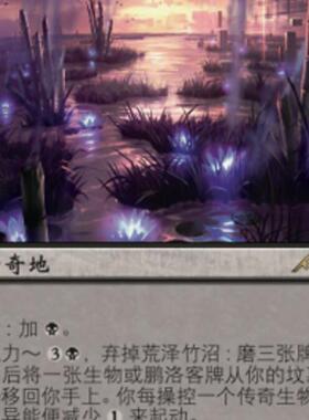 万智牌 荒泽竹沼 Takenuma,Abandoned Mire NEO 简中/英文平卡 金