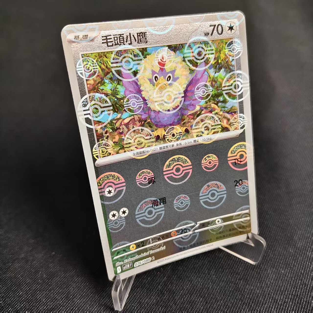 PTCG卡牌繁中毛头小鹰精灵球闪