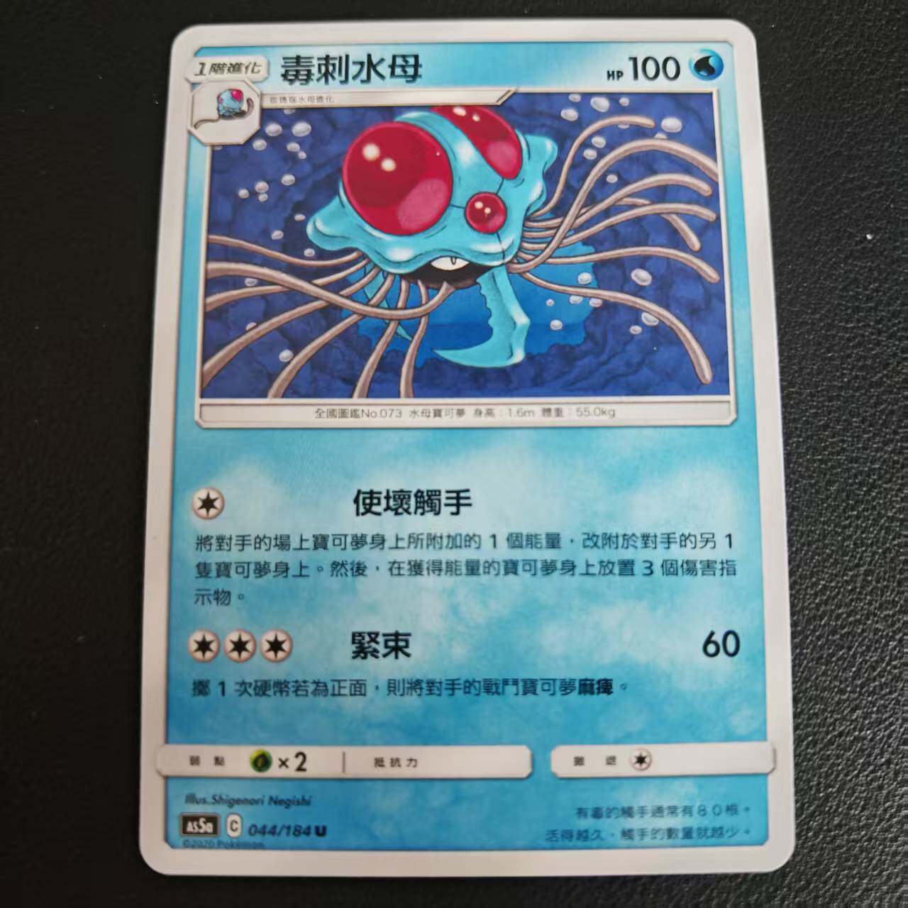 【北境卡牌】宝可梦 繁体PTCG 水系精灵双倍暴 As5a毒刺水母 U044