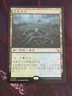 万智牌 树篱迷宫 Hedge Maze 简中日印平闪 卡洛夫庄园 MKM 金