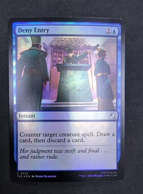 【北境卡牌】万智牌 禁止入内 Deny Entry TLE 英文日印闪 铁