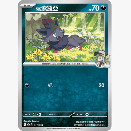 PTCG卡牌N的索罗亚平卡/能量闪