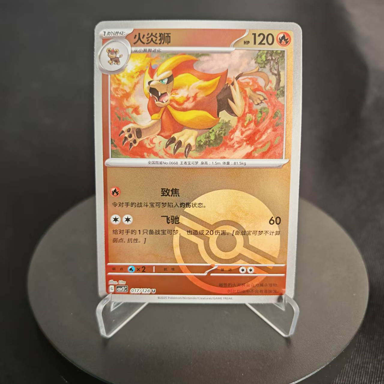 PTCG卡牌简中火炎狮U平/球闪