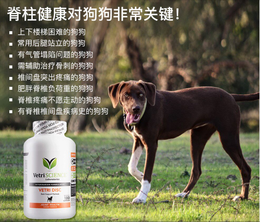 美国进口狗狗脊椎压迫神经博美狗髋关节宝软骨修复腿软狗气管坍塌
